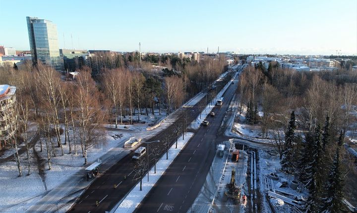 Pitäjänmäentien keskiosan tammia siirretään puunsiirtoautolla Talin liikuntapuistoon, Siltalanpuistoon ja Talin golfkentälle.