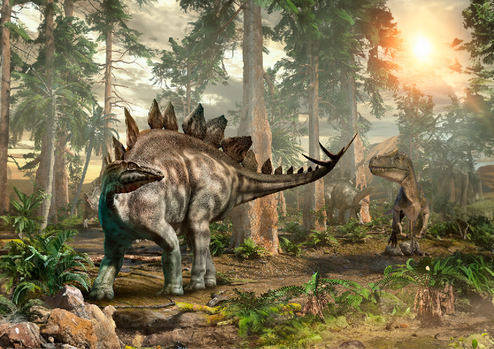 Jurakauden tunnetuimmat dinosaurukset, stegosaurus ja allosaurus, ovat myös Korkeasaaressa nähtävinä.