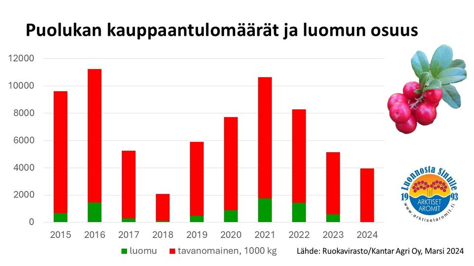 Puolukan_kauppaantulo_2024