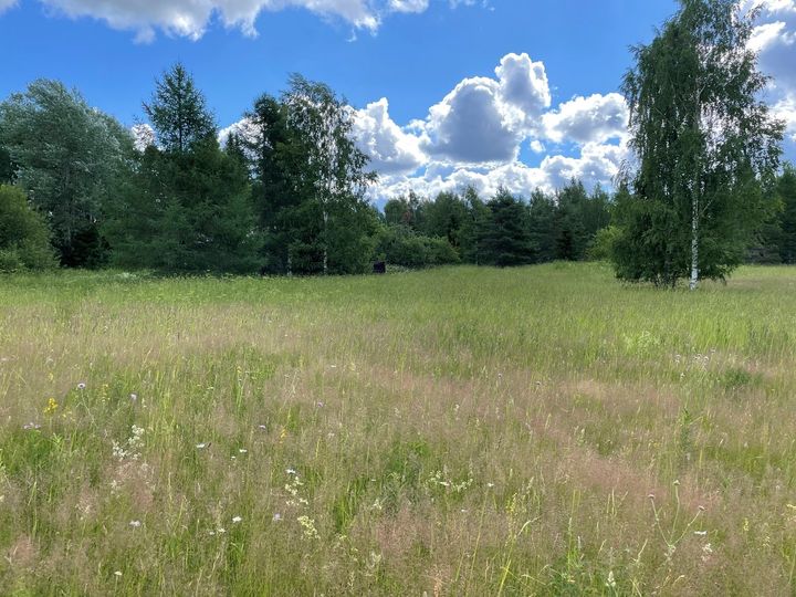 Perinnebiotoopeille etsitään niittäjiä. Kuva: Hilja Kohonen / Pohjois-Karjalan ELY-keskus.