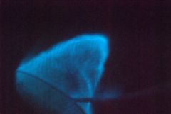 Panssarisiimalevän sinistä valoa eli bioluminenssia. Kuva: Stefan Simis.