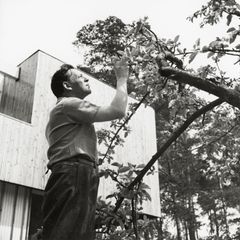 Alvar Aalto. Kuva: Alvar Aalto -säätiö