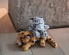 Kuntsin modernin taiteen museossa järjestetään syksyllä lapsille suunnattuja pehmolelujen seikkailuopastuksia Jaguaarin ja Yöleopardin seurassa. Kuva: Vaasan kaupungin museot.