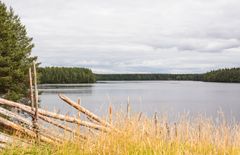 ”Kesäinen Vaala tuo mieleen vanhan suomalaisen elokuvan idyllin.” Tästä Vaalan kunnanjohtajan Miira Raiskilan toteamuksesta sai alkunsa idea Vaalassa toteutettavasta vuosittaisesta Valentin Vaala -elokuvafestivaalista. Kuva: Brandstein/Kati Leinonen.