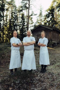 Heikki Liekola, Mikko Kaukonen, Anni Peräkylä