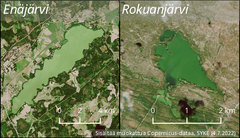 Satelliittiseurannassa sinilevää havaittiin runsaasti vain muutamalla järvellä. Kuvassa Vihdin Enäjärvi ja Vaalan Rokuanjärvi maanantaina 4.7.2022.