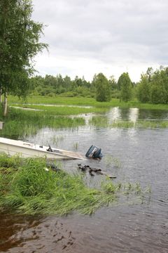 Lieksan kesätulva v. 2012. Kuva: Teppo Linjama / Pohjois-Karjalan ELY-keskus.