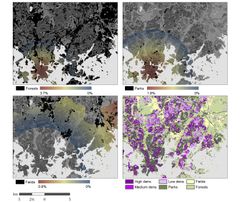 Mallinnus kuvaa viheralueiden vaikutusta asuntojen neliöhintoihin Helsingissä