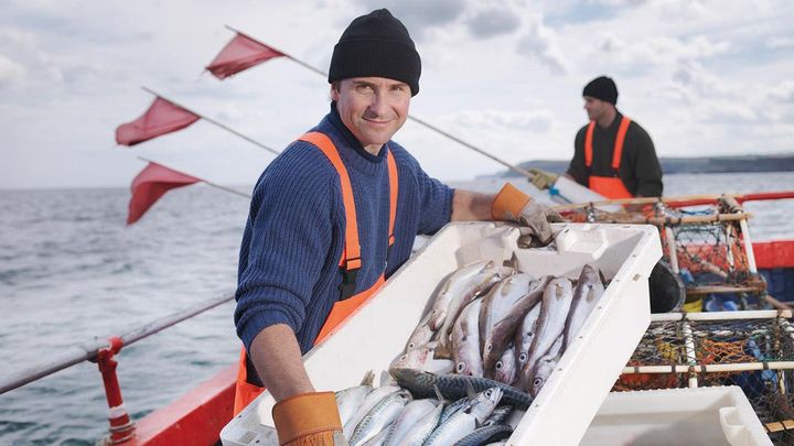 83 % suomalaisista ostaa kalaa säännöllisesti ja 76 % heistä katsoo, että kauppojen ja ravintoloiden tulisi tarjota ainoastaan vastuullisesti pyydettyä kalaa. Kuva: Lidl