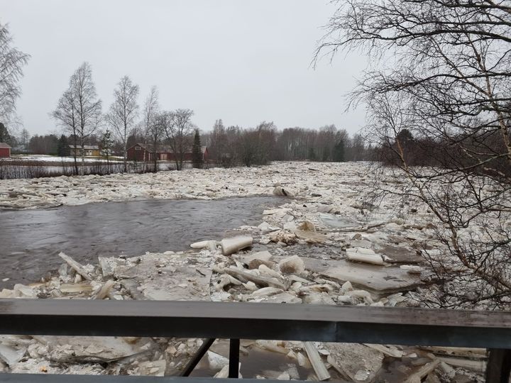 En ispropp bildades i Lappfjärds å nedanför Perus. Foto: Johan Rajamäki.