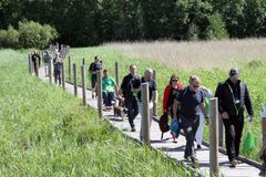 Viikki-Vanhankaupunginlahdella luontoa voi tarkastella esteettömällä luontopolulla Pornaistenniemestä Lammassaareen. Reitistä noin kilometri kulkee pitkospuilla. Kuva: Sanna Elijoki / Helsingin kaupunki