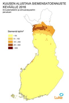 Kuva 3. Kuusen alustava siemensatoennuste keväälle 2016.