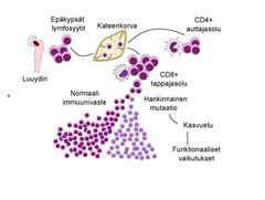 T-solut syntyvät luuytimessä ja saavat lopullisen T-solureseptorinsa kypsyessään kateenkorvassa. Tutkimus paljasti hankinnaisia mutaatioita, jotka rajoittuvat yhdestä T-solusta alkunsa saaneisiin CD8+ sytotoksisiin T-soluklooneihin. Jatkotutkimuksissa selvitetään näiden mutaatioiden käytännön vaikutuksia solukloonien kasvu- ja selviytymisominaisuuksin, sekä kroonisen tulehdusreaktion säätelyyn.