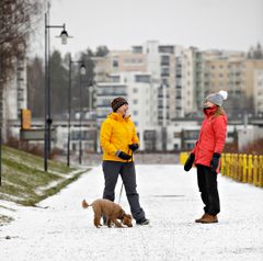 Mielen hyvinvointi tukee keski-ikäisten liikunnan harrastamista. Kuva Petteri Kivimäki.