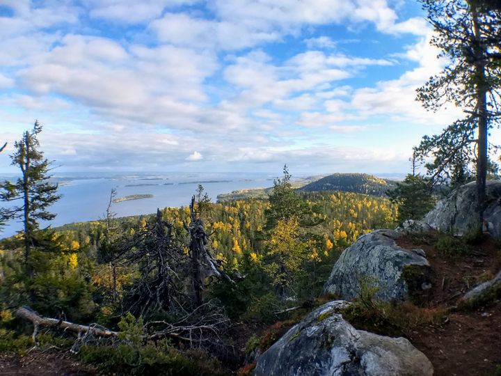 Mäkrävaara ja Pielinen Kolilla ruskan aikaan syksyllä 2021. Kuva: Ilkka Elo / Pohjois-Karjalan ELY-keskus.