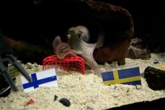 Lonkero hivelee Ruotsia