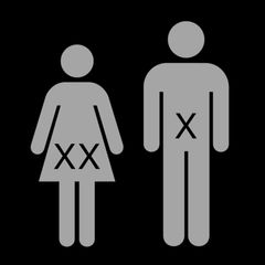 X-kromosomissa voi piillä tärkeää tietoa muun muassa naisen ja miehen välisten eroavuuksien syistä.