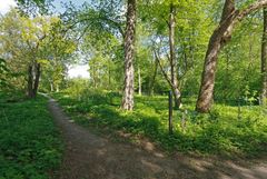 Niskalan arboretum. Kuva: Jussi Helimäki.