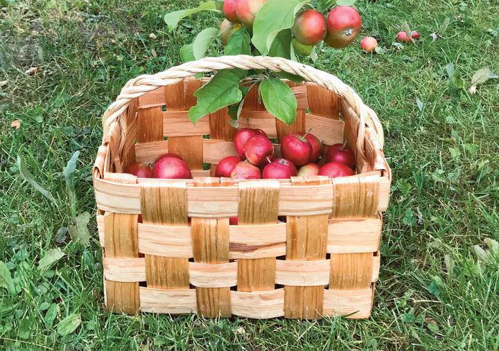 Ylimääräiset omenat kannattaa jakaa halukkaille, vaikkapa somen välityksellä.