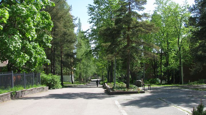 Kala-Matin raitti. Kuva: Espoon kaupunkisuunnittelukeskus.