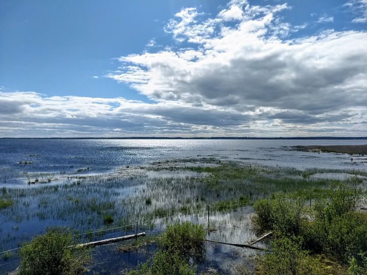 Höytiäisen kanavan suisto Pyhäselällä toukokuun lopussa. Höytiäisen kanavan virtaama oli toukokuussa kolminkertainen tavanomaiseen verrattuna. Kuva: Ilkka Elo / Pohjois-Karjalan ELY-keskus