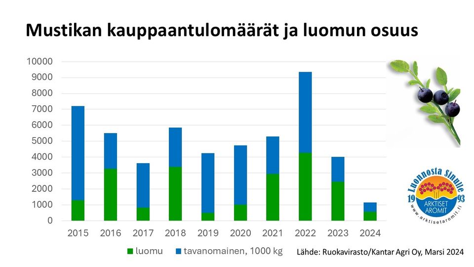 Mustikan_kauppaantulo_2024