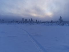 Tutkijat hiihtävät asentamaan langatonta mittaustekniikkaa Pallaksen seudulla. Kuva Pertti Ala-aho / Oulun yliopisto