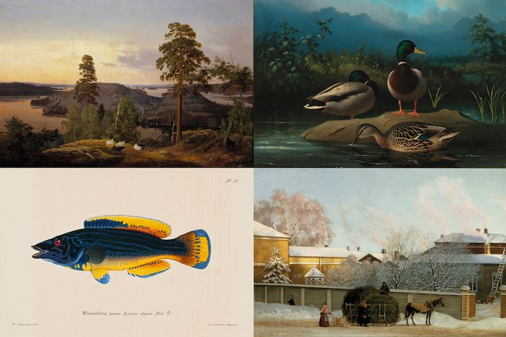 Ferdinand von Wright: Utsikt från Haminanlaks (1853) | Ferdinand von Wright: Gräsänder (1874) | Wilhelm von Wright: Blågylta, hanne (1836–1857) | Magnus von Wright: Kall vintermorgen, "utsigt från mitt fönster" (Annegatan) (1868)