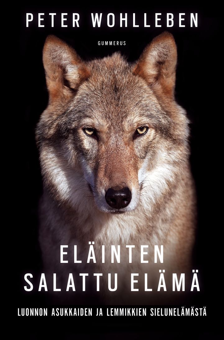 Eläinten salattu elämä (kansi: Jenni Noponen)