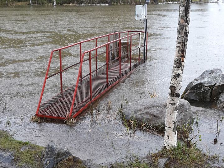 Vedenpinnat voivat olla korkealla vielä pitkälle kesään asti. Kuva: Diar Isid