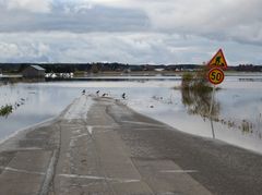 Tulvavesi on peittänyt tien, jonka reunassa näkyy liikennemerkki.