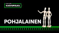 Ansökningstiden till programmet är 14.2–21.3.2023.