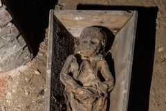 Vilnan Holy Spirit -kirkon kryptan lapsivainajasta ei tiedetä paljon. Radiohiiliajoituksen perusteella hänen tiedetään kuolleen vuosien 1643 ja 1665 välisenä aikana. Hänen arvioidaan olleen alle viiden vuoden ikäinen. (Kuva: KC)
