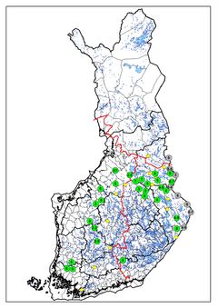 Susilaumat ja kahdestaan liikkuvat sudet tammikuussa 2015. Vihreät symbolit viittaavat tunnettuihin laumoihin (arvio lukumäärästä keskellä), keltaiset kahdestaan liikkuviin susiin. Harmaat symbolit viittaavat reviireihin, joista merkittävä osa sijainnee Venäjän puolella.