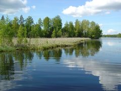 Vesikasvien niitto on tärkeää toteuttaa oikeana ajankohtana. Tehokkain niittoaika on heinä–elokuun vaihteessa. Kuvassa on  Iso Savijärvi Lempäälän ja Valkeakosken rajalla. Kuva: Pirkanmaan ELY-keskus