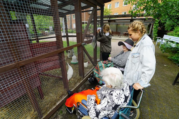 Kesätyöntekijöitä Kustaankartanon palvelukeskuksessa vuonna 2017. (Kuva: Helsinkirekryn kesätoimittaja Tuuli Hiidensalo)
