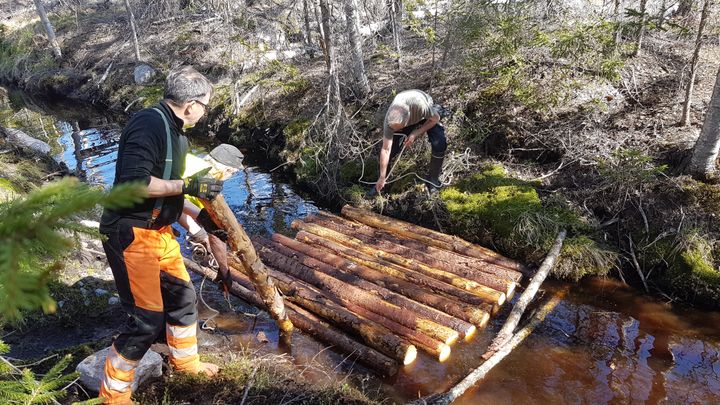 Vesien rehevöitymistä pyritään suitsimaan monin keinoin. Puuaineksen lisääminen ojastoihin, vesiensuojelurakenteisiin ja pienvesiin voi vähentää merkittävästi vesistöihin päätyvää ravinne-, kiintoaines- ja humuskuormitusta. Kuva: SYKE