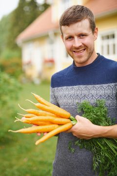 Antti Toukola viljelee porkkanaa Toukolan tilalla Asikkalassa. KUVA: MTK