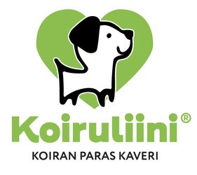 Koiruliini