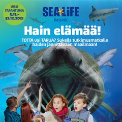 Hain elämää -tapahtuma SEA LIFEssa 5.11.-31.12.2021.