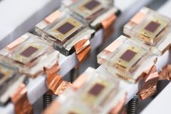 Väriaineherkistettyjä kennoja mittausalustalla. Kuva: Valeriya Azovskaya.