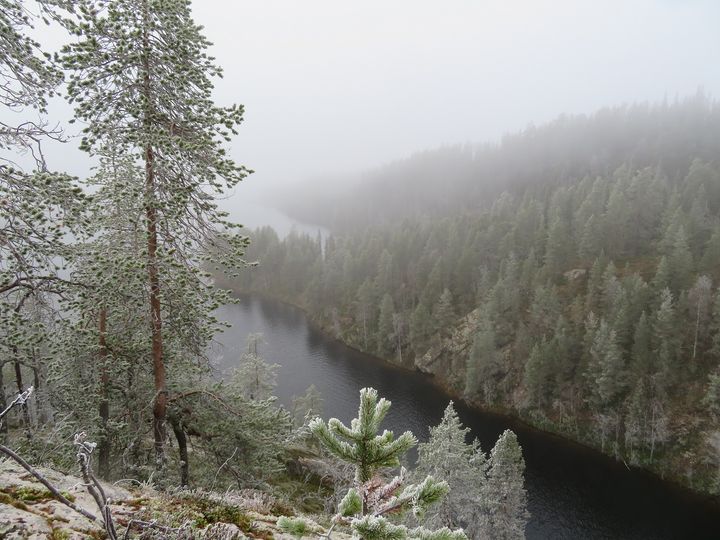 Porontiman reitillä Kuusamossa luontomatkailijat voivat ihailla kauniita maisemia. Kuva: Laila Hökkä/Metsäkeskus