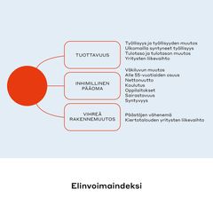 Elinvoimaindeksi ja indikaattorit WSP