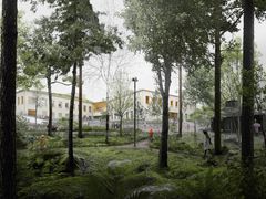 Kuva: Metsäinen piha. Arkkitehtitoimisto OPUS Oy.