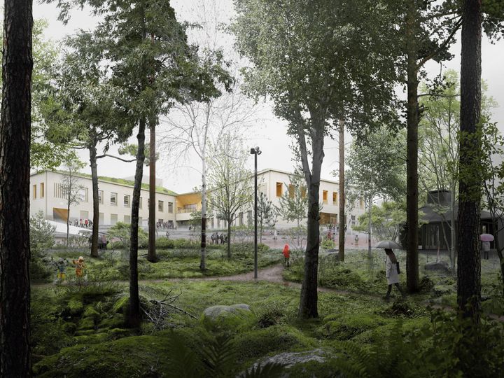 Kuva: Metsäinen piha. Arkkitehtitoimisto OPUS Oy.