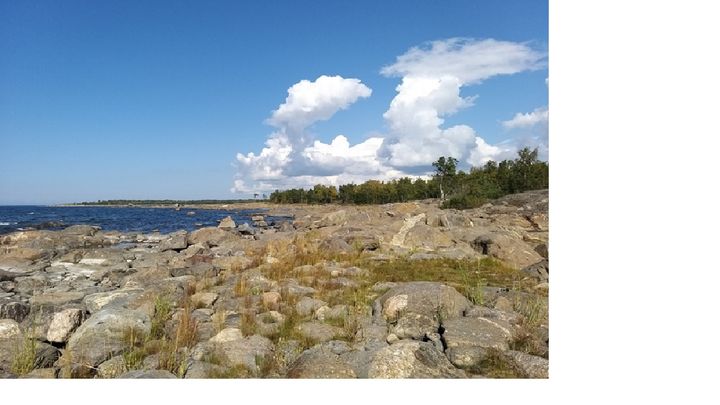 Märigrund i Närpes skärgård. Foto: Robin Sjöblom, 2019.