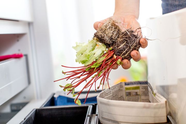 Jos yhä useampi asukas lajittelisi biojätteen, jätteiden kierrätysaste nousisi selkeästi.