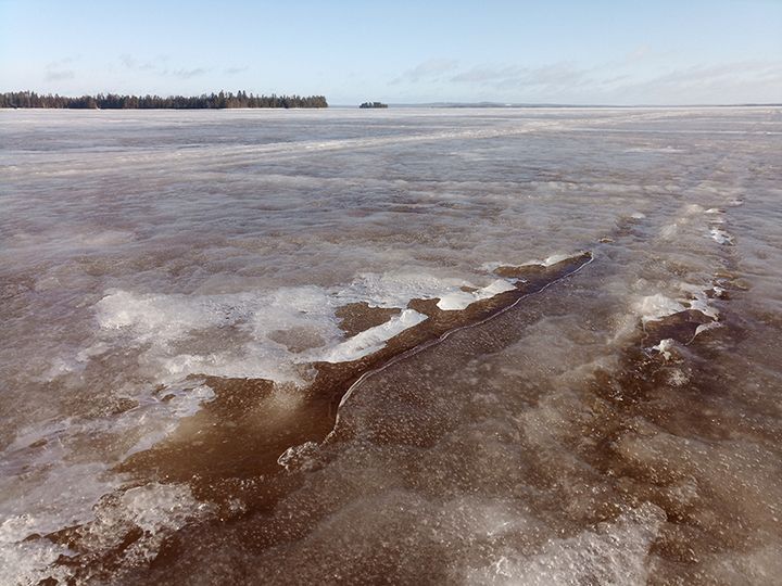 Jään päällä oleva vesikerros vaikeuttaa liikkumista. Kuva Paltaselältä Oulujärveltä 30.3.2021. Kainuun ELY-keskus, Pasi Toro.