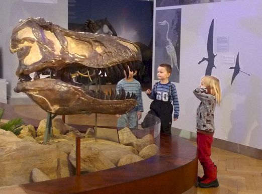 Lapset tarkastelevat Tyrannosaurus rexin kalloa Luonnontieteellisessä museossa (Kuva: Laura Hiisivuori/Luomus)