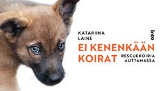 Kirja näyttää ruohonjuuritason eläinsuojelutyön vaativuuden ja hylättyjen koirien vaikean aseman. Kerrontaa rytmittävät koskettavat koirien tarinat. Kannessa Viipurista Suomeen adoptoitu Jehu-pentu.